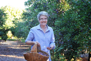Naturally Dried Prunes Farm Tours